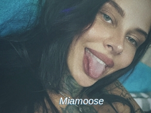 Miamoose