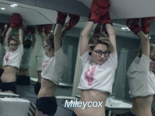 mileycox Ejaculations Féminines