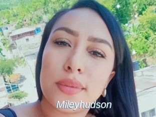Mileyhudson