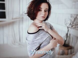 Miniamely