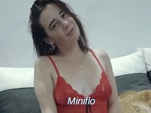 Miniflo