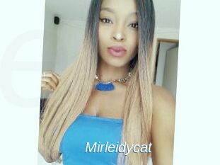 Mirleidycat