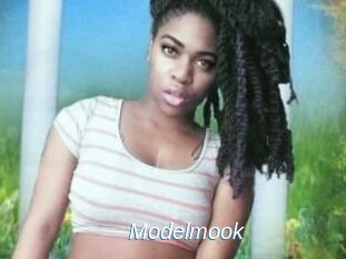 Modelmook