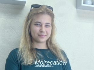 Moirecatlow