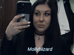 Mollyblizard