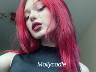 Mollycodle
