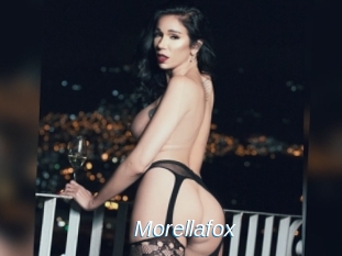 Morellafox