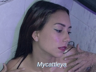 Mycattleya