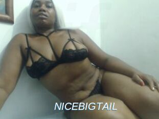 NICEBIGTAIL
