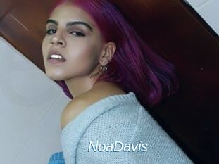 NoaDavis