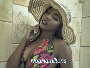 NoaHamiltons