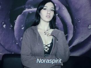 Noraspirit