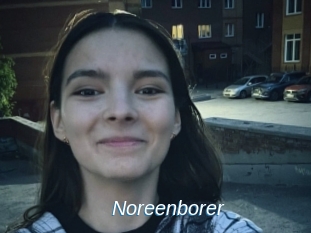 Noreenborer