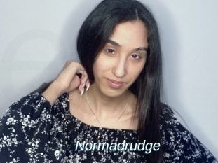 Normadrudge