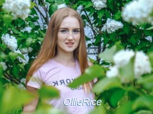 OllieRice