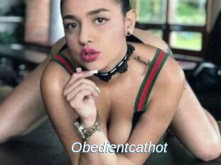 Obedientcathot