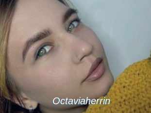 Octaviaherrin