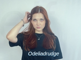 Odeliadrudge