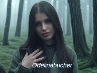 Odelinabucher