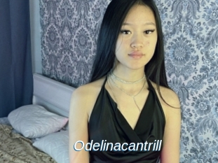 Odelinacantrill