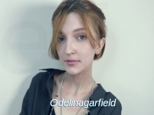 Odelinagarfield