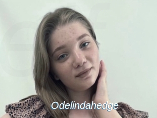 Odelindahedge