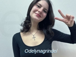 Odelynagrindel