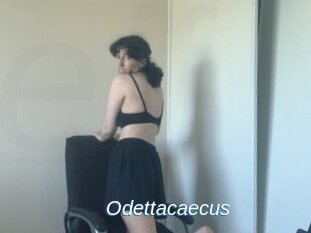 Odettacaecus