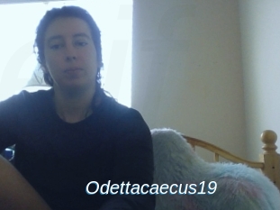 Odettacaecus19