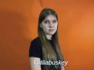 Odiliabuskey
