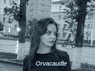 Orvacaudle