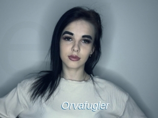 Orvafugler