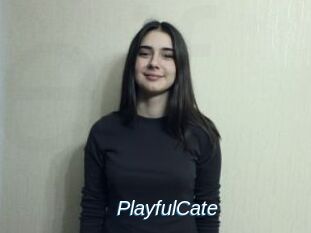 PlayfulCate