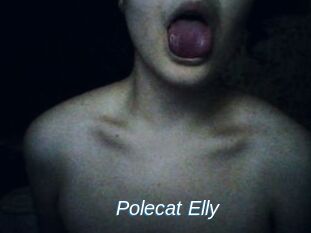 Polecat_Elly