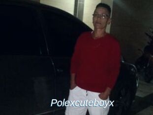 Polexcuteboyx