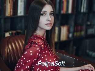 PolinaSoft