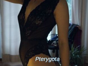 Pterygota