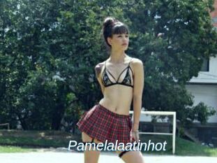 Pamelalaatinhot