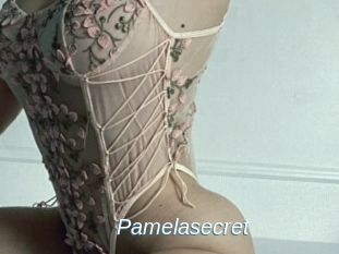 Pamelasecret