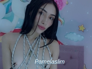 Pamelaslim
