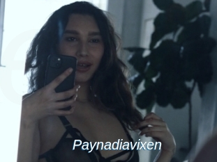 Paynadiavixen