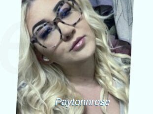 Paytonnrose