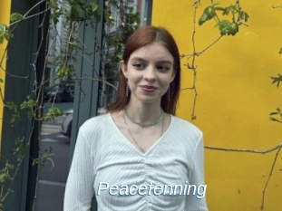 Peacefenning