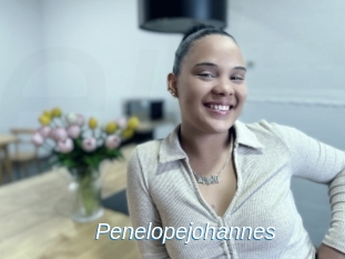 Penelopejohannes