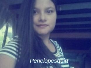 Penelopesquirt
