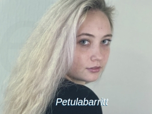 Petulabarritt