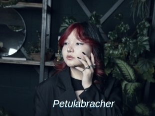 Petulabracher