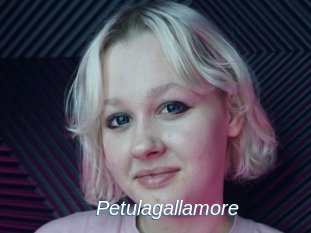 Petulagallamore