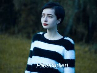 Pileacadieri