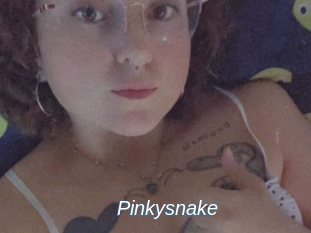 Pinkysnake